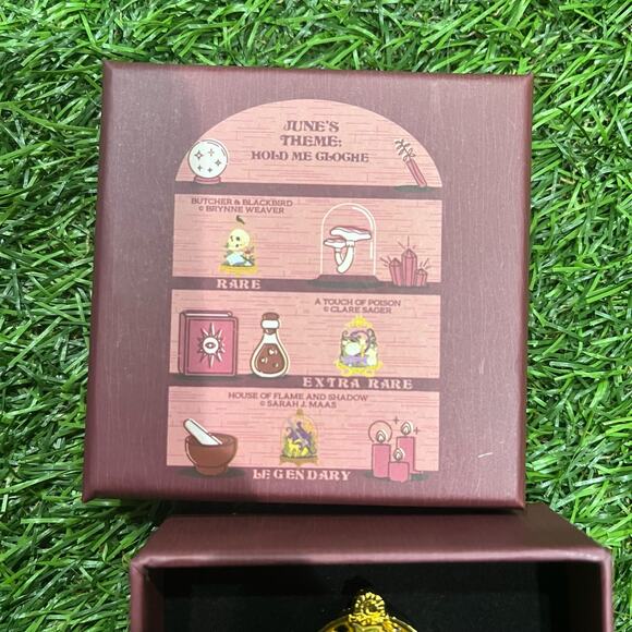 House of Flame and Shadow Pin Darkly Bookish Box Legendary Sarah J Maas - Picture 3 of 6